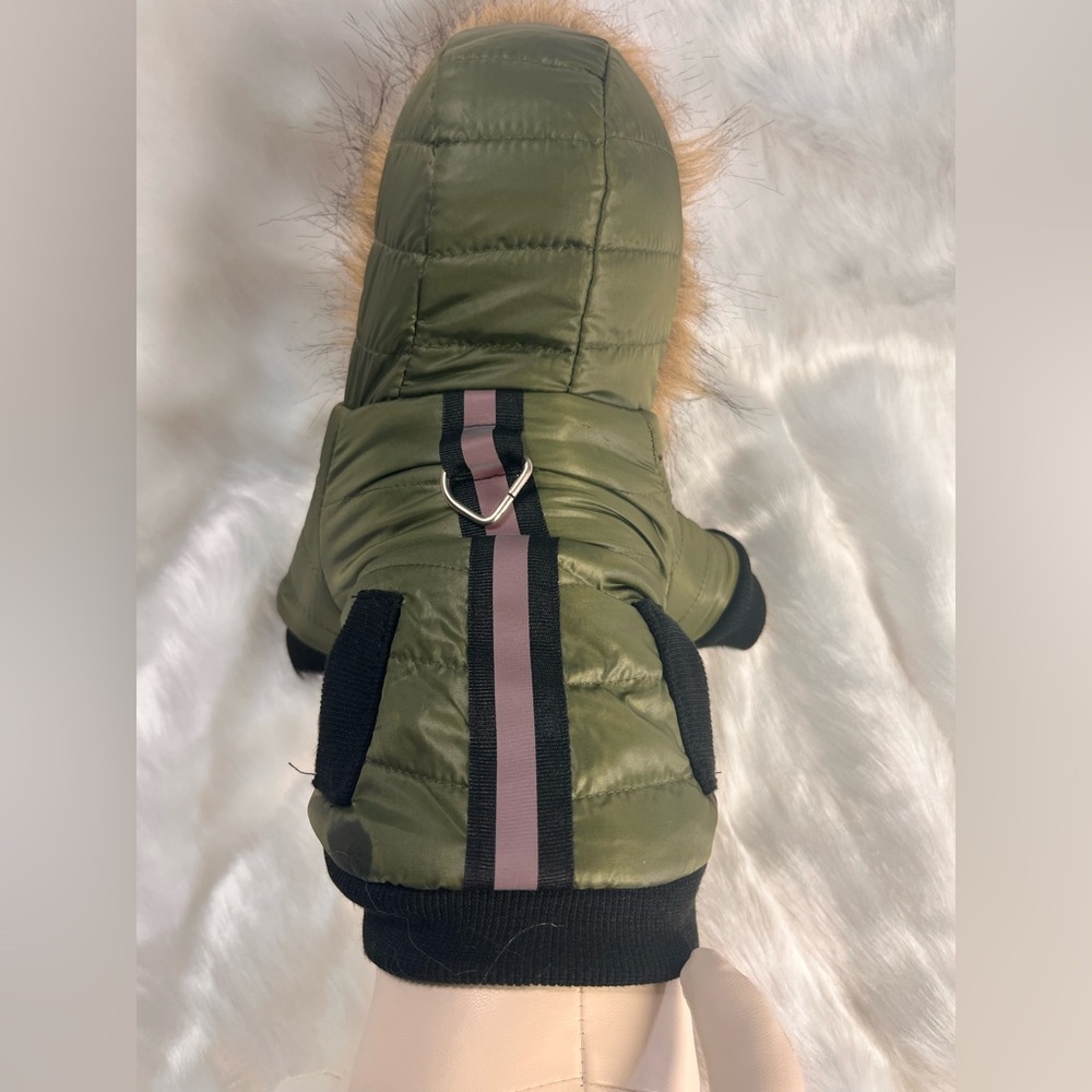 Green Dog puffer Jacket with grey Stripe